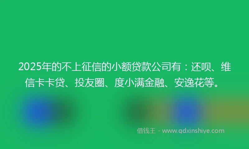 2025年的不上征信的小额贷款公司有：还呗、维信卡卡贷、投友圈、度小满金融、安逸花等。