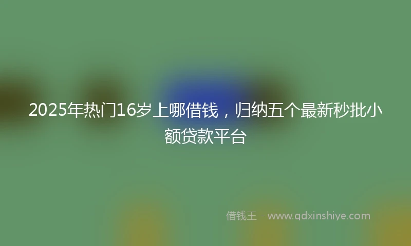 2025年热门16岁上哪借钱，归纳五个最新秒批小额贷款平台