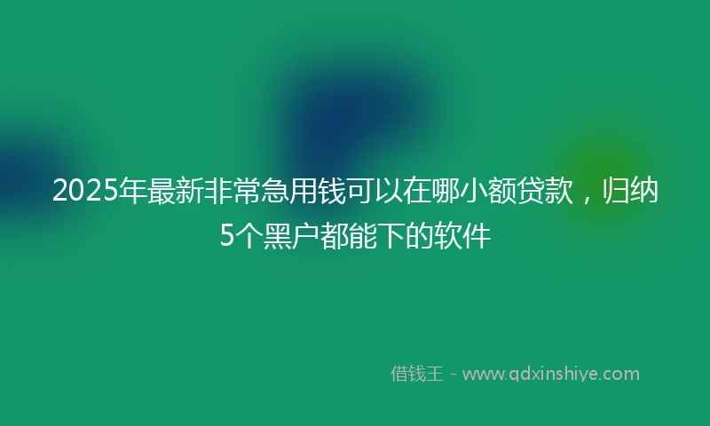 2025年最新非常急用钱可以在哪小额贷款，归纳5个黑户都能下的软件