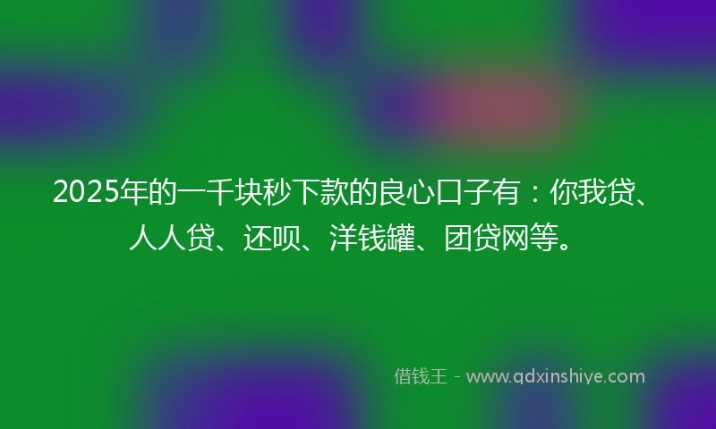 2025年的一千块秒下款的良心口子有：你我贷、人人贷、还呗、洋钱罐、团贷网等。