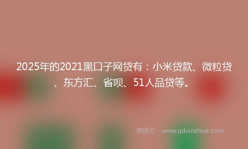 2025年的2021黑口子网贷有：小米贷款、微粒贷、东方汇、省呗、51人品贷等。