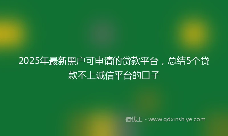 2025年最新黑户可申请的贷款平台，总结5个贷款不上诚信平台的口子