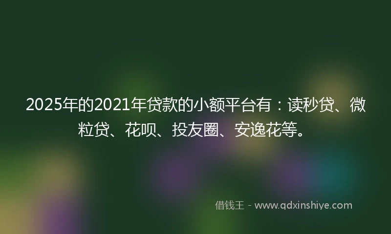 2025年的2021年贷款的小额平台有：读秒贷、微粒贷、花呗、投友圈、安逸花等。