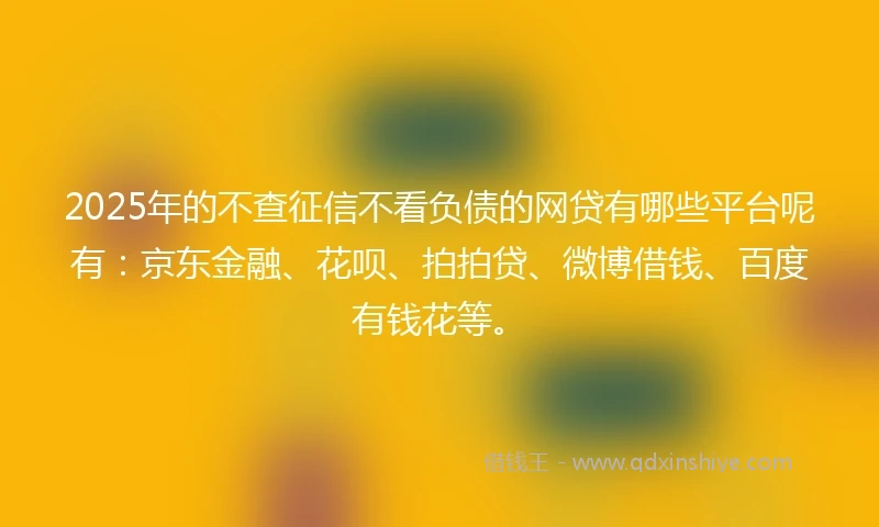 2025年的不查征信不看负债的网贷有哪些平台呢有：京东金融、花呗、拍拍贷、微博借钱、百度有钱花等。