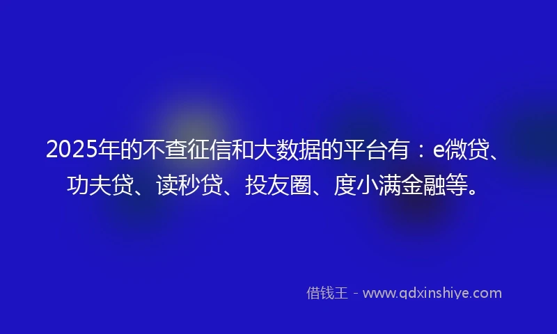 2025年的不查征信和大数据的平台有：e微贷、功夫贷、读秒贷、投友圈、度小满金融等。