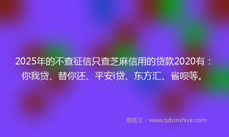 2025年的不查征信只查芝麻信用的贷款2020有：你我贷、替你还、平安i贷、东方汇、省呗等。