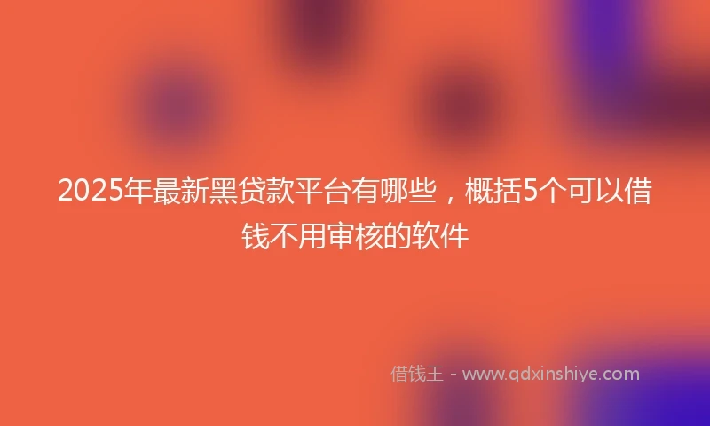 2025年最新黑贷款平台有哪些，概括5个可以借钱不用审核的软件