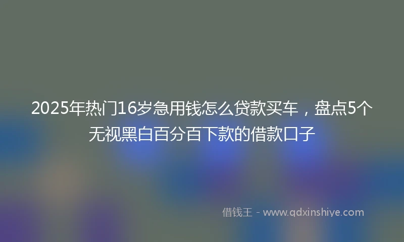 2025年热门16岁急用钱怎么贷款买车，盘点5个无视黑白百分百下款的借款口子