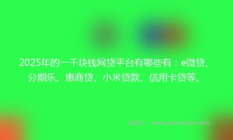 2025年的一千块钱网贷平台有哪些有：e微贷、分期乐、惠商贷、小米贷款、信用卡贷等。