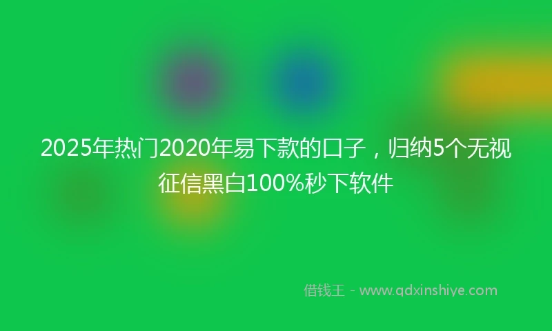 2025年热门2020年易下款的口子，归纳5个无视征信黑白100%秒下软件