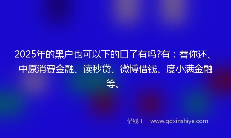 2025年的黑户也可以下的口子有吗?有：替你还、中原消费金融、读秒贷、微博借钱、度小满金融等。