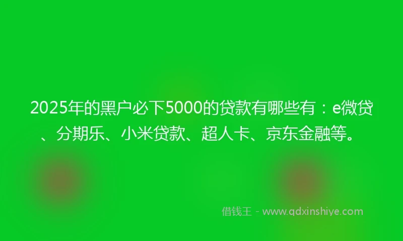2025年的黑户必下5000的贷款有哪些有：e微贷、分期乐、小米贷款、超人卡、京东金融等。