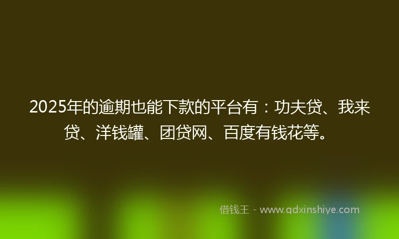2025年的逾期也能下款的平台有：功夫贷、我来贷、洋钱罐、团贷网、百度有钱花等。