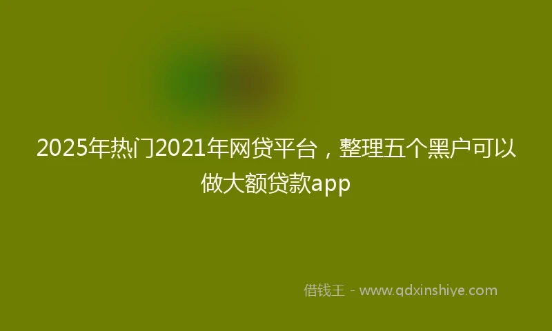 2025年热门2021年网贷平台，整理五个黑户可以做大额贷款app