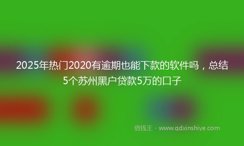 2025年热门2020有逾期也能下款的软件吗，总结5个苏州黑户贷款5万的口子