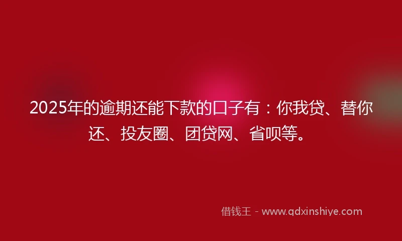 2025年的逾期还能下款的口子有：你我贷、替你还、投友圈、团贷网、省呗等。