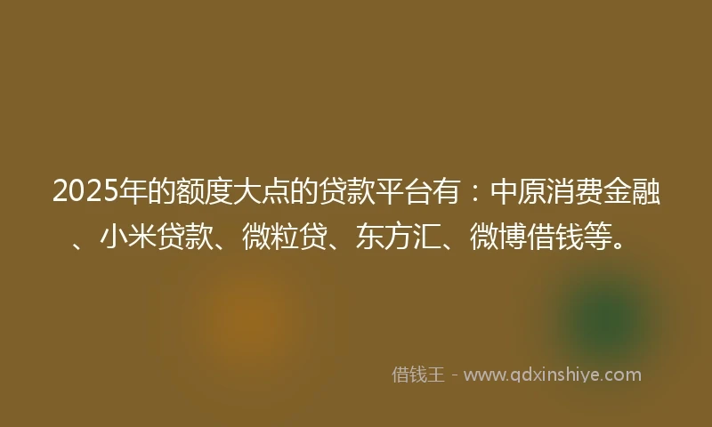 2025年的额度大点的贷款平台有：中原消费金融、小米贷款、微粒贷、东方汇、微博借钱等。