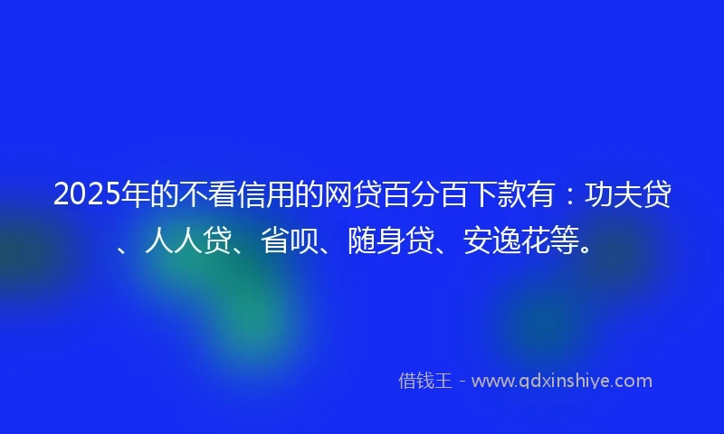 2025年的不看信用的网贷百分百下款有：功夫贷、人人贷、省呗、随身贷、安逸花等。