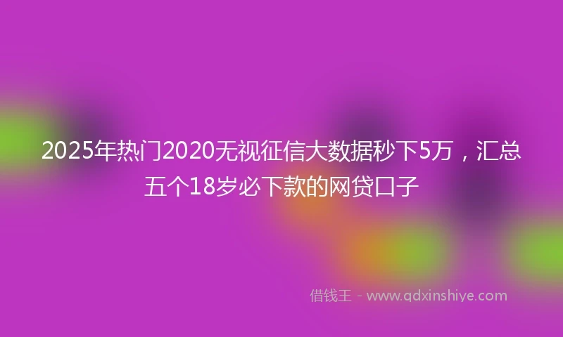 2025年热门2020无视征信大数据秒下5万，汇总五个18岁必下款的网贷口子