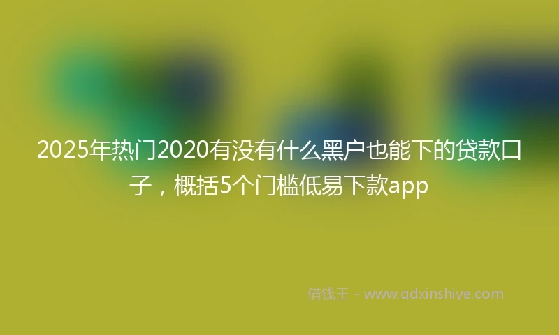 2025年热门2020有没有什么黑户也能下的贷款口子，概括5个门槛低易下款app