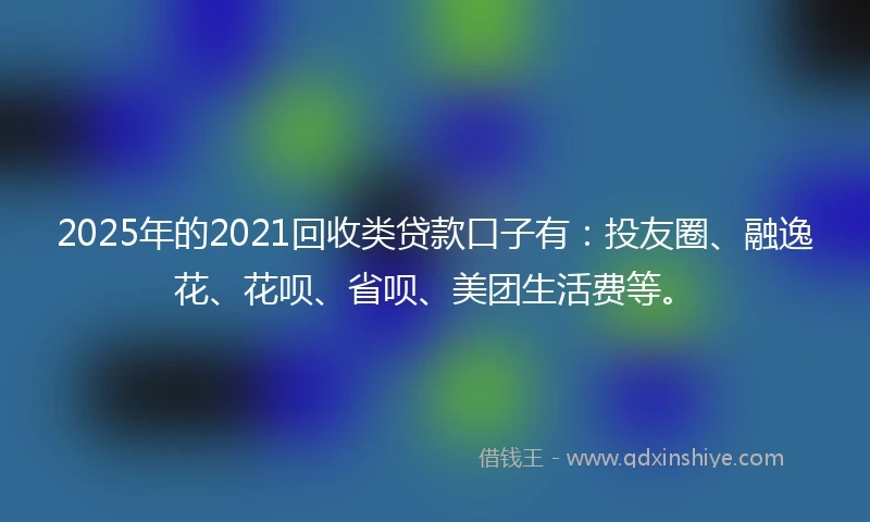 2025年的2021回收类贷款口子有：投友圈、融逸花、花呗、省呗、美团生活费等。