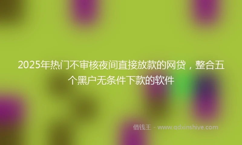 2025年热门不审核夜间直接放款的网贷，整合五个黑户无条件下款的软件