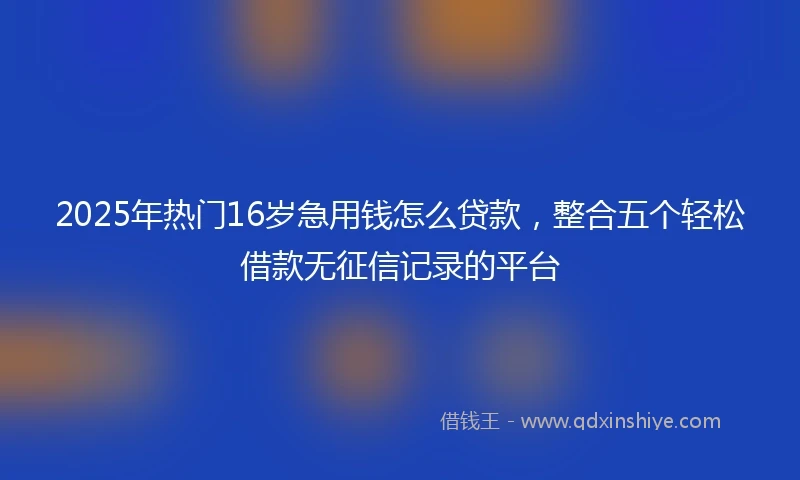 2025年热门16岁急用钱怎么贷款，整合五个轻松借款无征信记录的平台