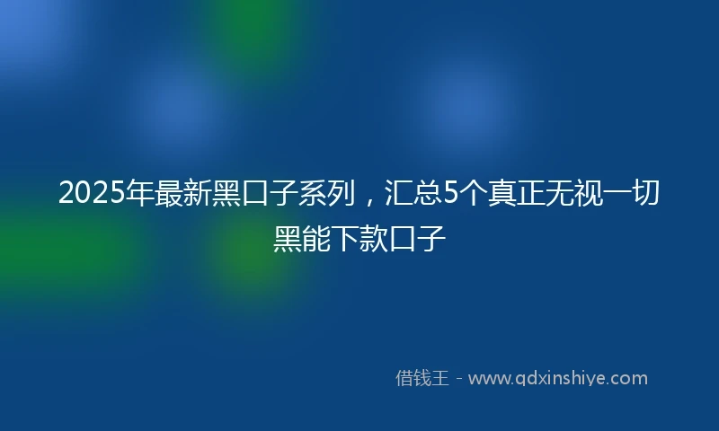2025年最新黑口子系列，汇总5个真正无视一切黑能下款口子