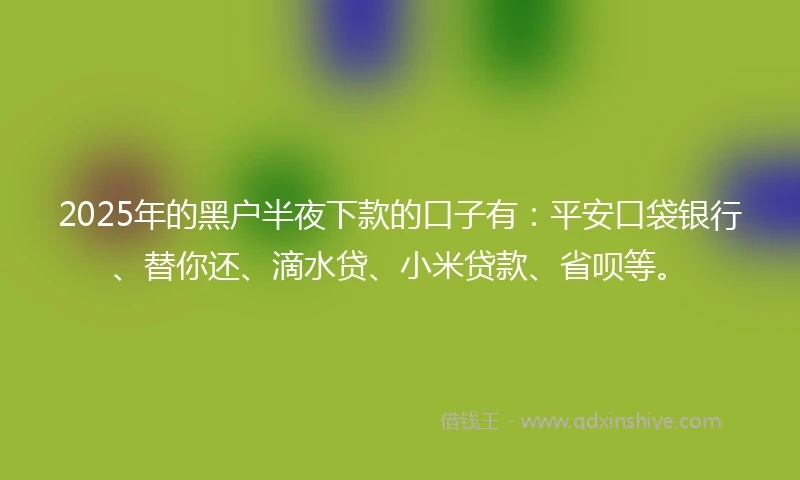 2025年的黑户半夜下款的口子有：平安口袋银行、替你还、滴水贷、小米贷款、省呗等。