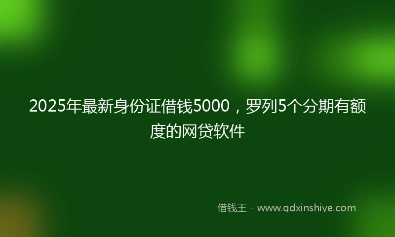 2025年最新身份证借钱5000，罗列5个分期有额度的网贷软件