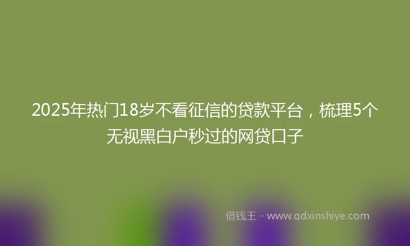 2025年热门18岁不看征信的贷款平台，梳理5个无视黑白户秒过的网贷口子