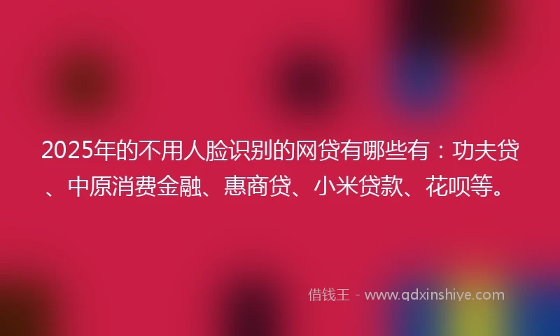 2025年的不用人脸识别的网贷有哪些有：功夫贷、中原消费金融、惠商贷、小米贷款、花呗等。