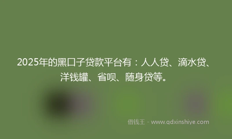 2025年的黑口子贷款平台有：人人贷、滴水贷、洋钱罐、省呗、随身贷等。
