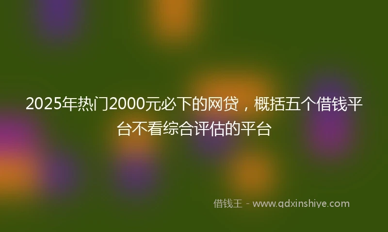 2025年热门2000元必下的网贷，概括五个借钱平台不看综合评估的平台
