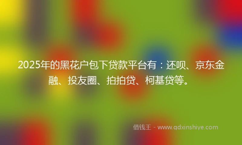 2025年的黑花户包下贷款平台有：还呗、京东金融、投友圈、拍拍贷、柯基贷等。