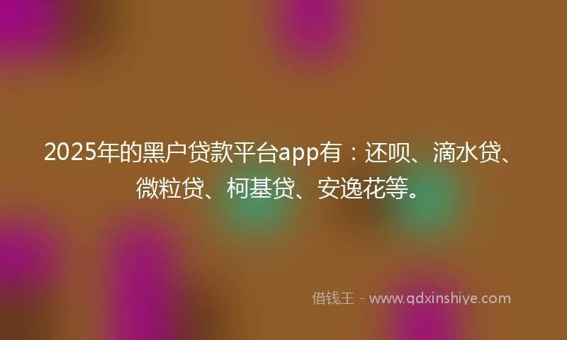 2025年的黑户贷款平台app有：还呗、滴水贷、微粒贷、柯基贷、安逸花等。