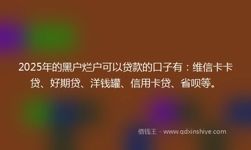 2025年的黑户烂户可以贷款的口子有：维信卡卡贷、好期贷、洋钱罐、信用卡贷、省呗等。