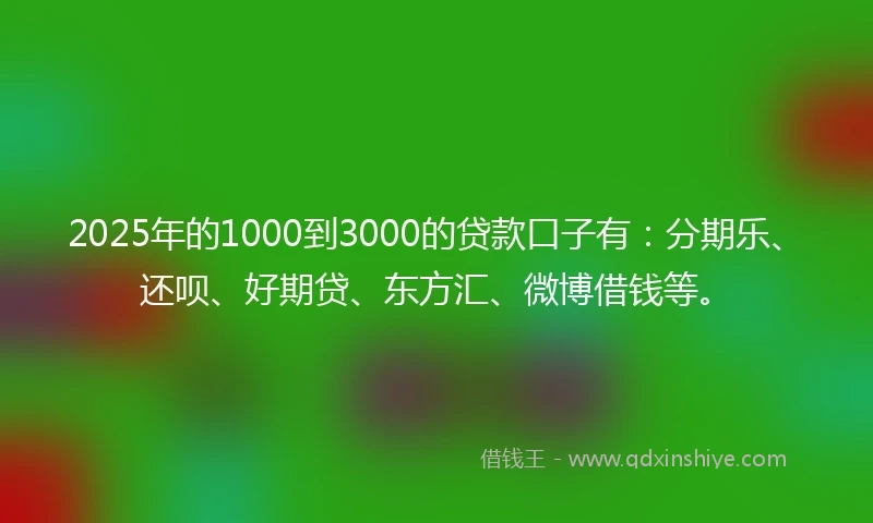 2025年的1000到3000的贷款口子有：分期乐、还呗、好期贷、东方汇、微博借钱等。