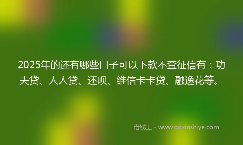 2025年的还有哪些口子可以下款不查征信有：功夫贷、人人贷、还呗、维信卡卡贷、融逸花等。