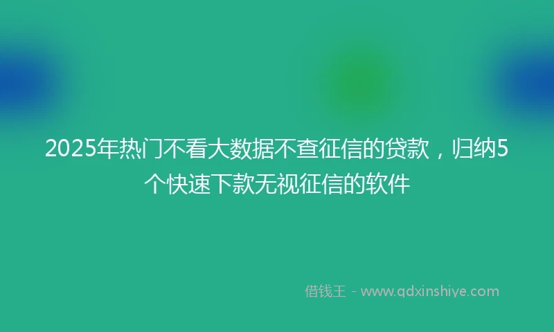 2025年热门不看大数据不查征信的贷款，归纳5个快速下款无视征信的软件