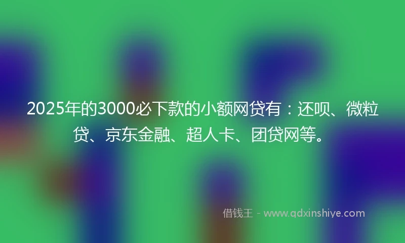 2025年的3000必下款的小额网贷有：还呗、微粒贷、京东金融、超人卡、团贷网等。