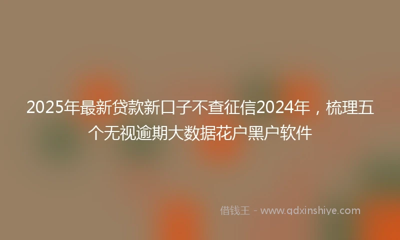2025年最新贷款新口子不查征信2024年，梳理五个无视逾期大数据花户黑户软件