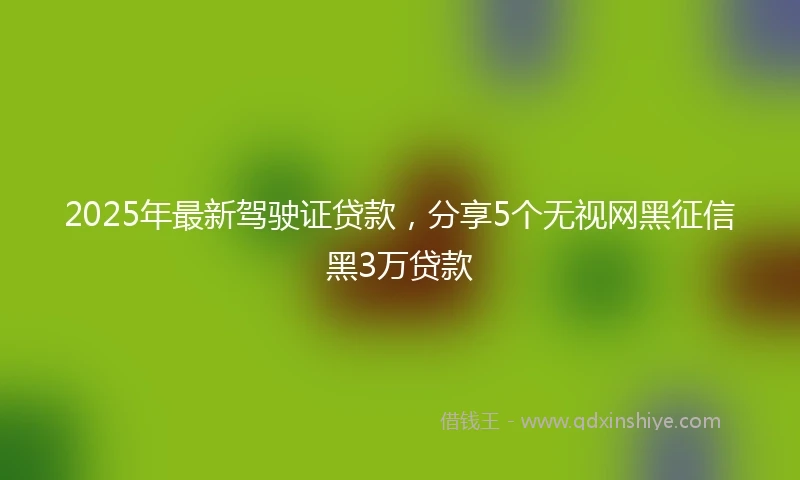 2025年最新驾驶证贷款，分享5个无视网黑征信黑3万贷款