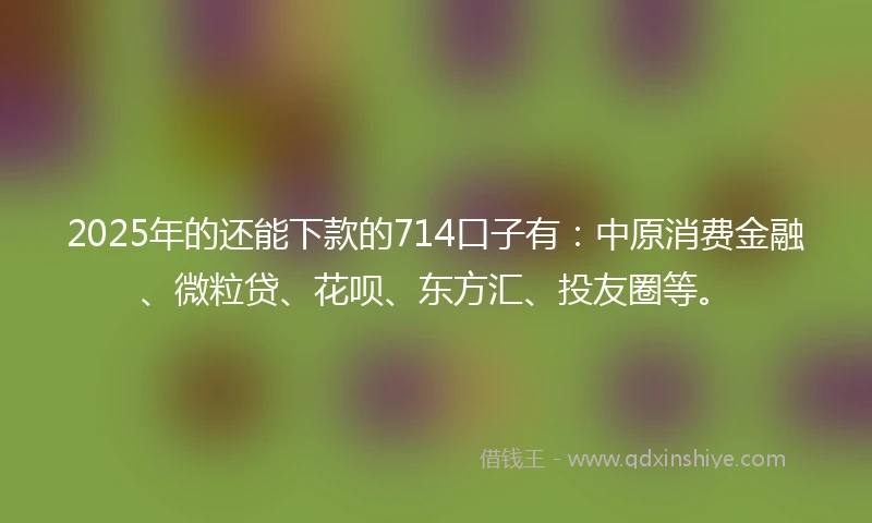 2025年的还能下款的714口子有：中原消费金融、微粒贷、花呗、东方汇、投友圈等。