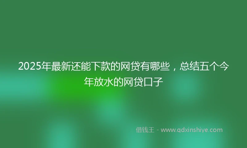 2025年最新还能下款的网贷有哪些，总结五个今年放水的网贷口子