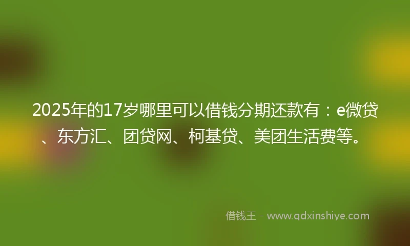 2025年的17岁哪里可以借钱分期还款有：e微贷、东方汇、团贷网、柯基贷、美团生活费等。