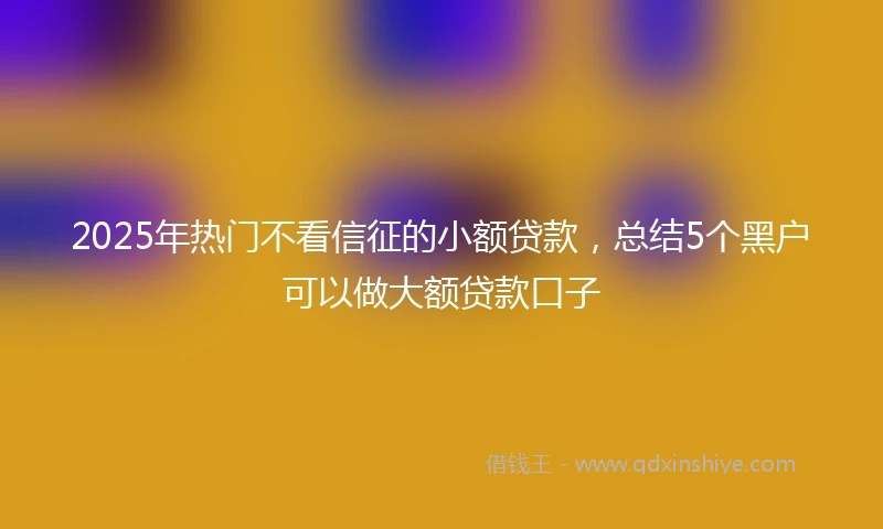 2025年热门不看信征的小额贷款，总结5个黑户可以做大额贷款口子