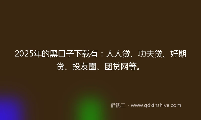 2025年的黑口子下载有：人人贷、功夫贷、好期贷、投友圈、团贷网等。