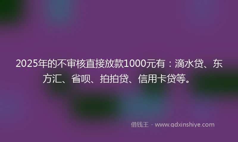 2025年的不审核直接放款1000元有：滴水贷、东方汇、省呗、拍拍贷、信用卡贷等。