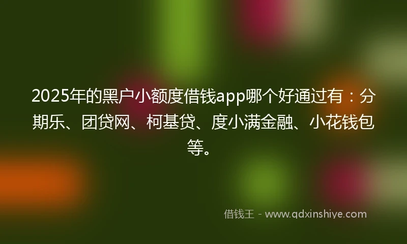 2025年的黑户小额度借钱app哪个好通过有：分期乐、团贷网、柯基贷、度小满金融、小花钱包等。